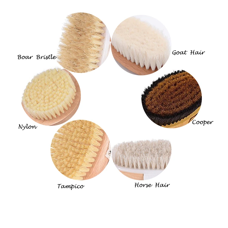 Dry Brush Especial Selecon Body Brushing Small Brushes Back Bathing