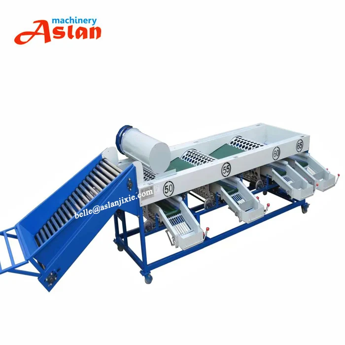 Farm Onion Grading Machine Garlic Bulb Grader Sorting Machine Onion Drum Roller Classifier Machine