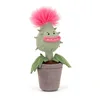 Plante carnivore Priscilla 30 cm-sans étiquette