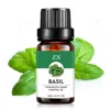 basil