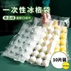 Disposable ice packs, 240 compartments [1 pack]
