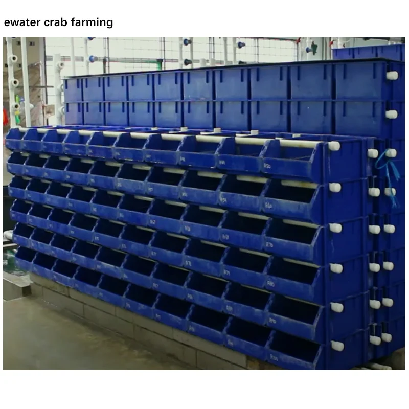 crab live box