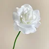 01-Blanc