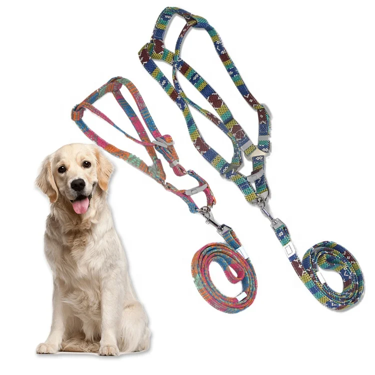 Polyester Dog Leash Harness Rope Dod Leash Retractable With Pet Collar Buy Dog Leash Retractable Dog Leash Rope Dog Leash Product On Alibaba Com