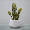 Verde#7
