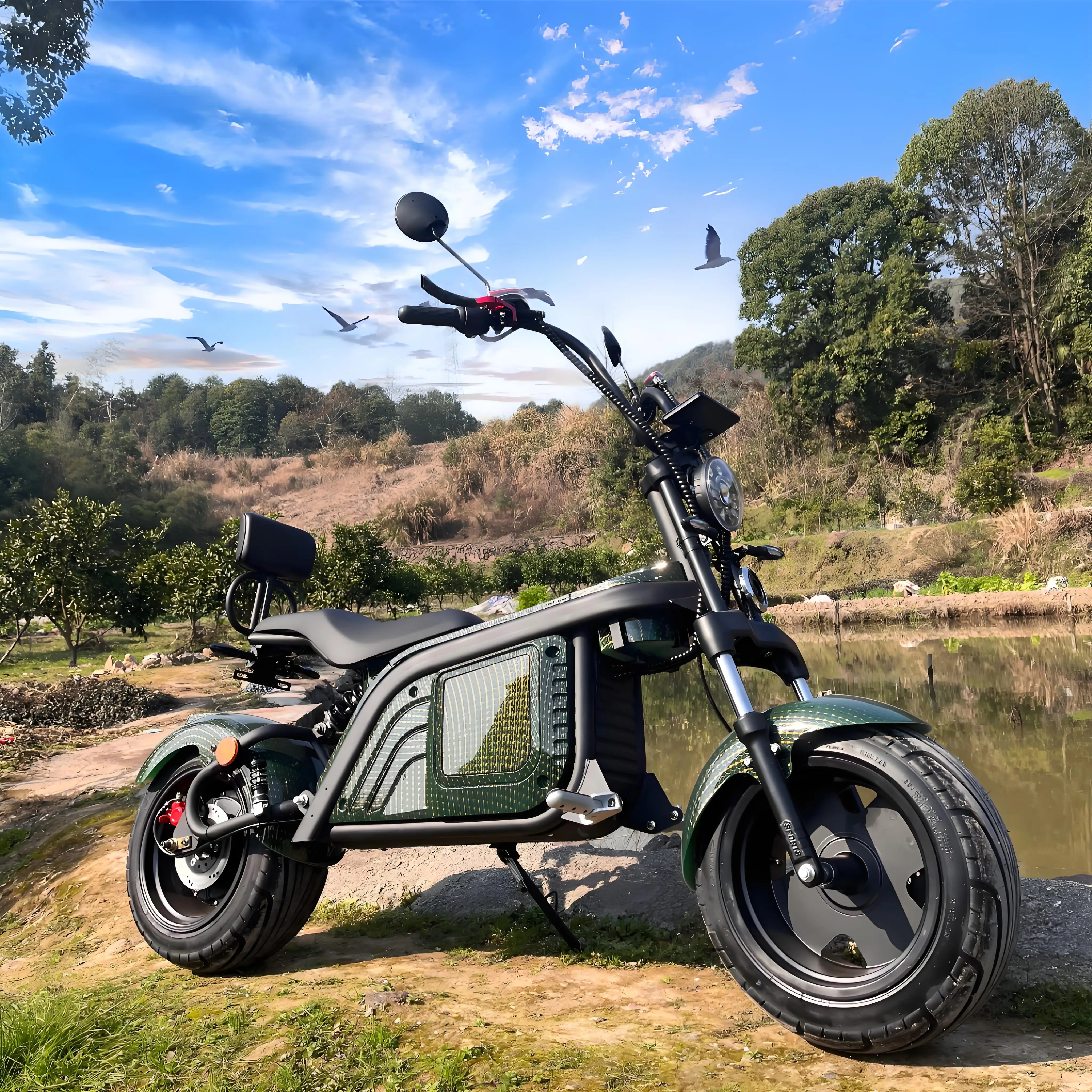 Factory New EEC COC Vehicle 2 Wheel Big Fat Tyre Standing Citycoco Two Seat Electric Scooter For Adults