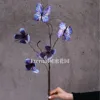 Little butterfly blue and purple