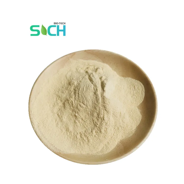 Factory Wholesale Pure Sea Cucumber Extract Sea Cucumber Collagen Peptides Sea Cucumber Peptide Powder