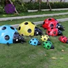 สีที่กำหนดเอง