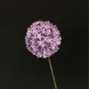Palline di cipolla verde viola