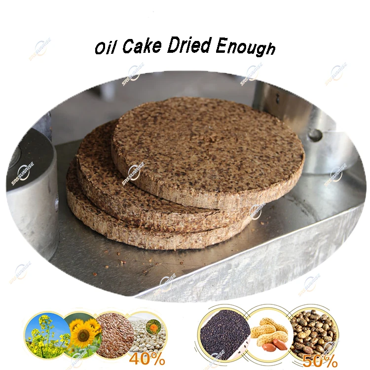 Manufacturer Factory Price Small Mini Extractor Cocoa Cacao Bean Butter Hydraulic Fat Oil Press Extraction Machine
