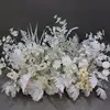 Lithospermum erythrorhizon bianco con fiori bianchi