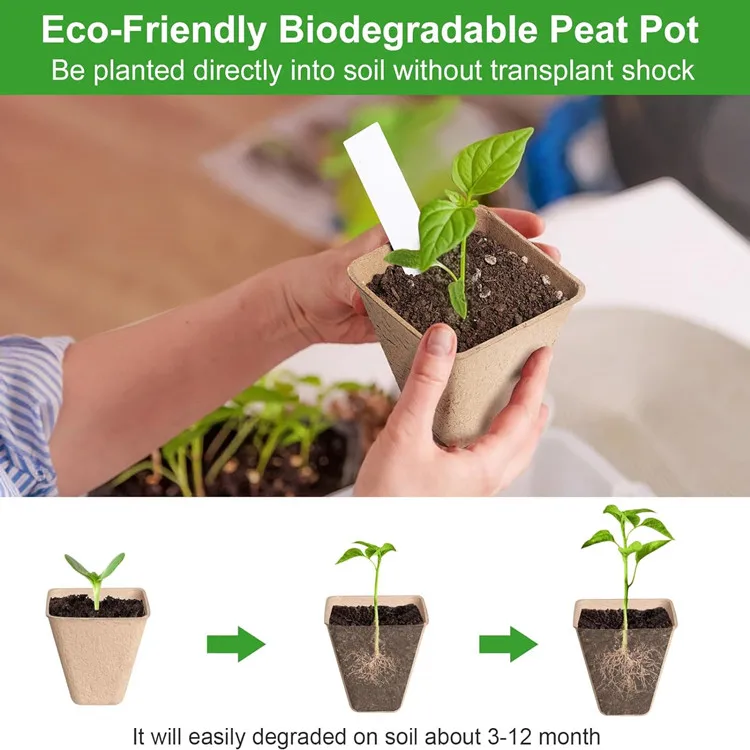 Biodegradable Nursery Pots With Humidity Dome Square Seeding Starter Peat Pots for Seedlings Garden Vegetable Flower Germination