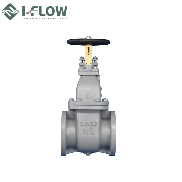 JIS 10K Cast Iron Bronze Trim Gate Valve for Marine