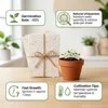 Istruzioni