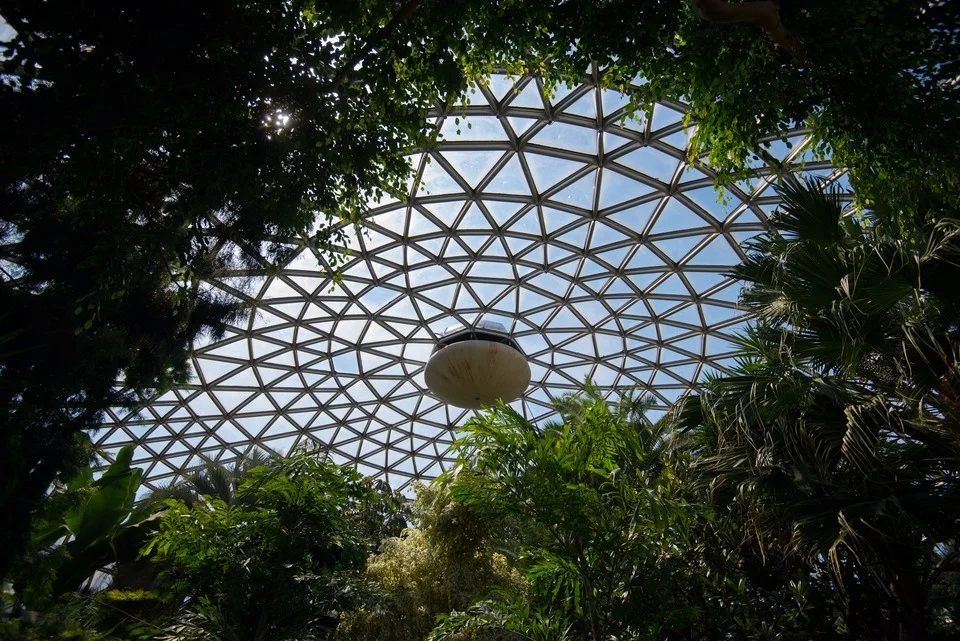 LF Steel Structure Dome Design Building Space Frame Dome Glass Hall Prefab