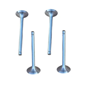 High Quality Bus Truck Engine Part YC6G YC6MK Yuchai Engine Cylinder Head Intake Valve Exhaust Valve M2A00-1003111 M2A00-1003103