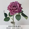 Rosa camelia viola a ramo singolo