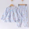 Gc2453 little bear kt