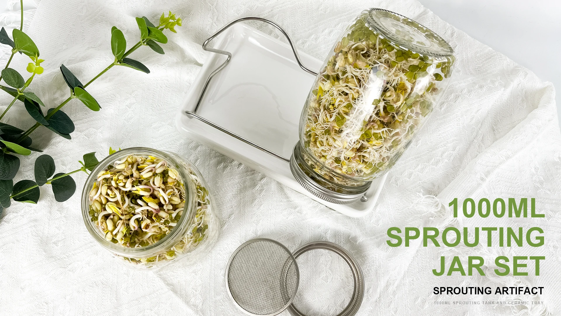 Seed Sprouting Jar Kit 3 Mason Jars Sprout Jar Kit With Screen Lids