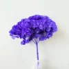 Blue purple