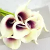 BIANCO-viola