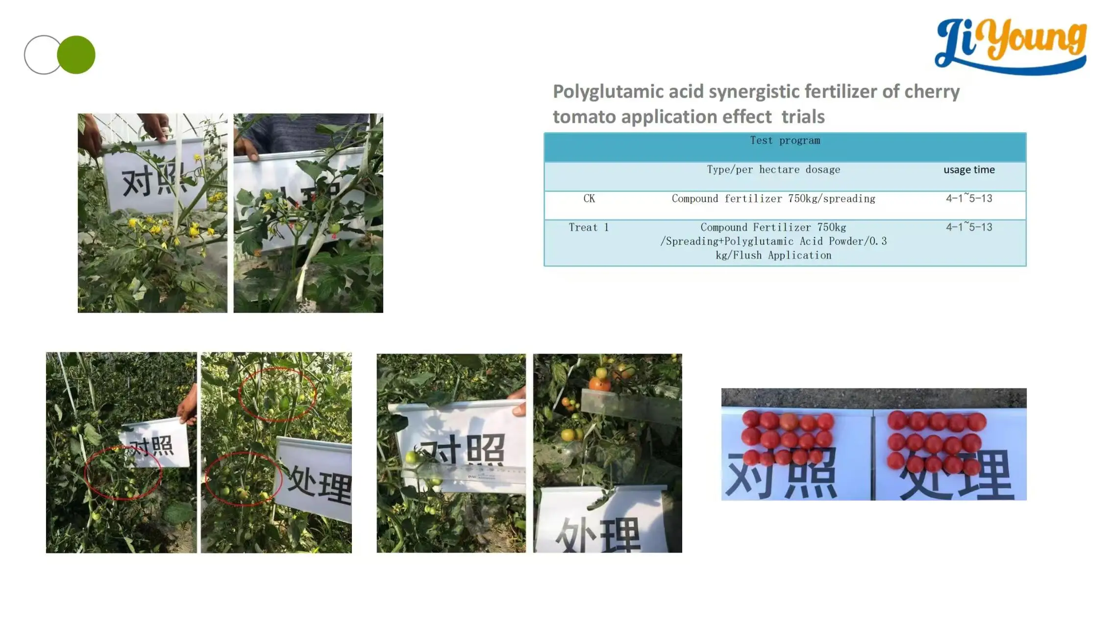 Shop Organic Fertilizer Humic & Polyglutamic Acid & Ca & Mg-Detailed Image 4