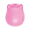 52047-A Pink rose