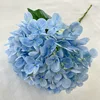 Blu-chiaro