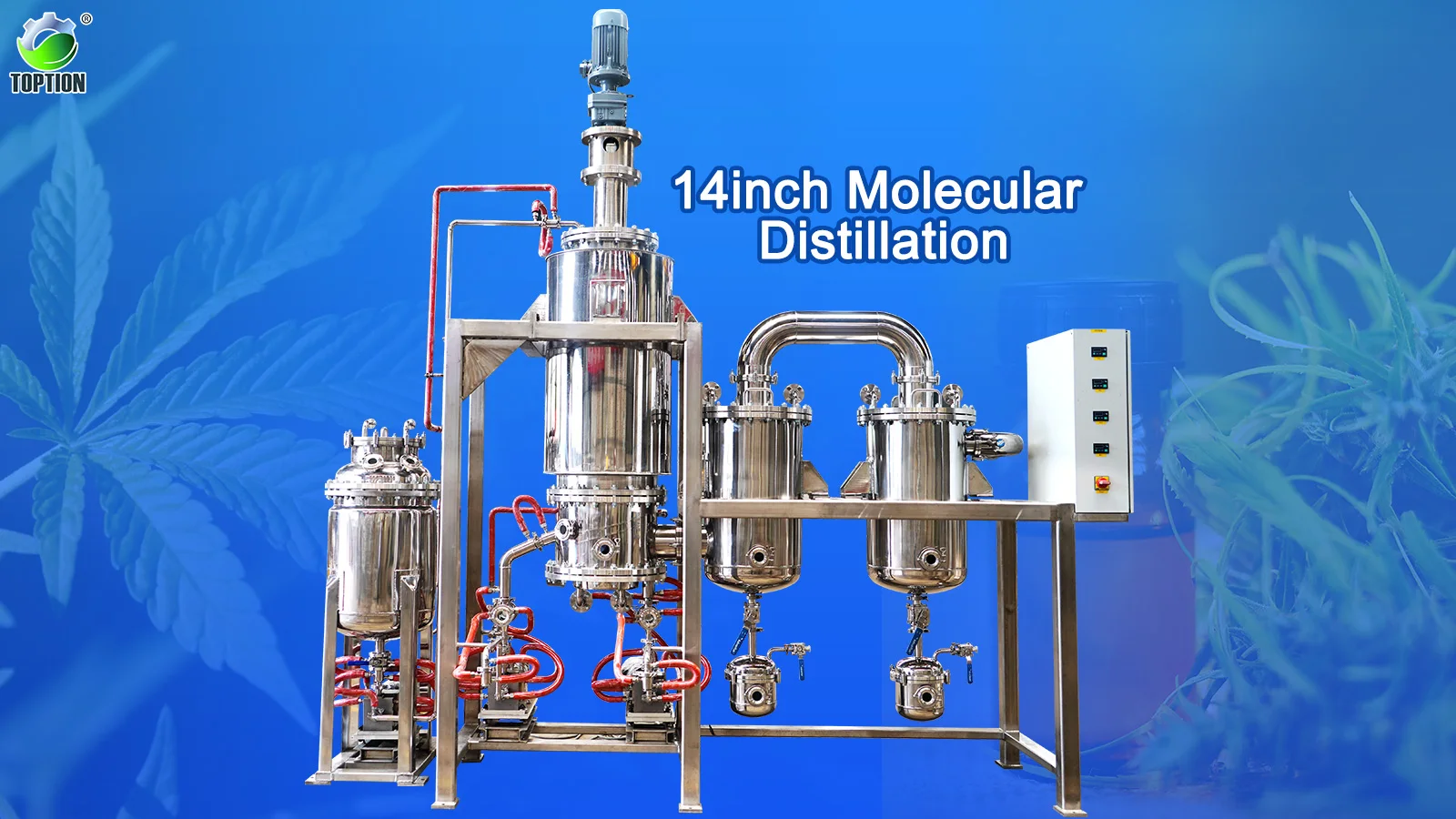 Oil by steam distillation фото 4