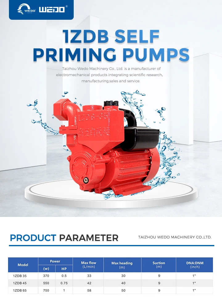 220v 250w Ac Mini Water Pump Eddy Pump Auto Clean Water Pumps Prices