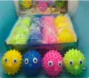 Pez globo absorbente de agua multicolor