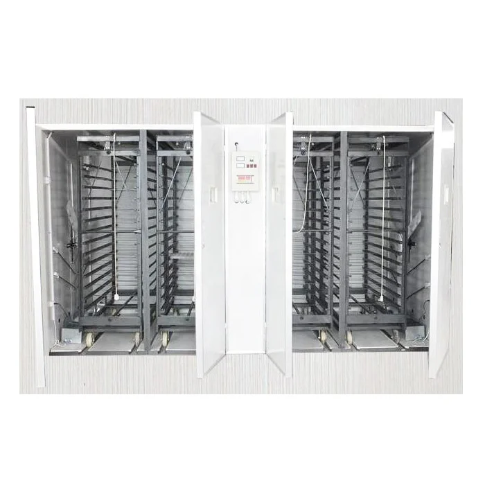 Digital Automatic 19712 Chicken Egg Incubator With Power Panel and Battery for Sale
