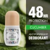 CUCUMBER
