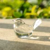 Transparent