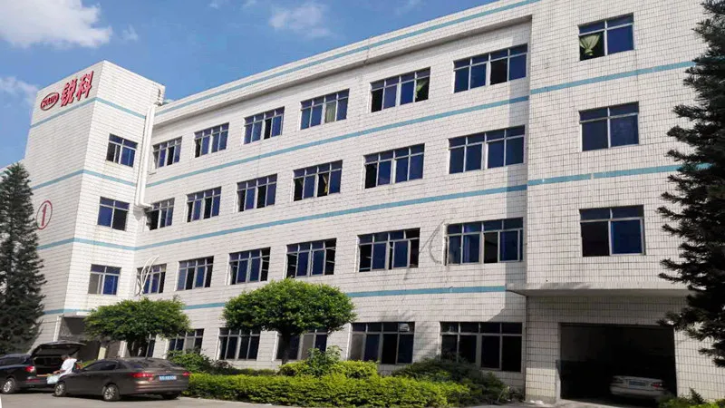 Dongguan Ruike Industrial Co., Ltd. 1