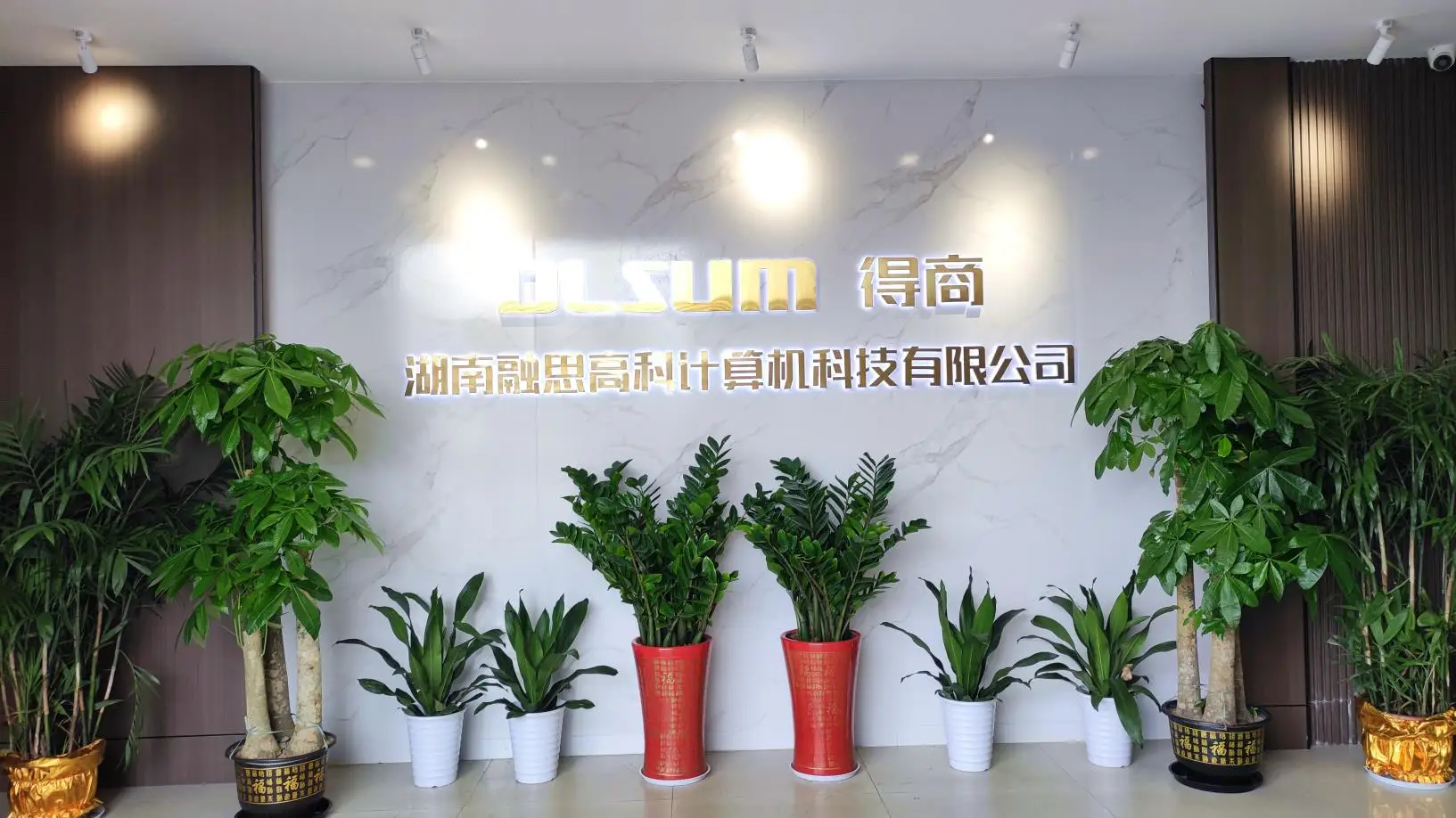 Hunan Dlsum Technology Co., Ltd. 1