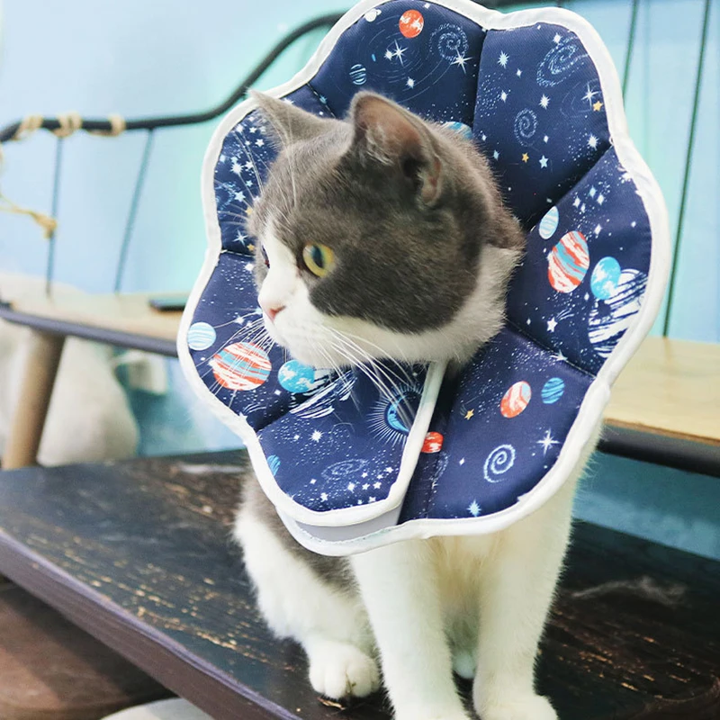 Pet Cat Dog Protective Collar Postoperative Bite Lick Collapsible