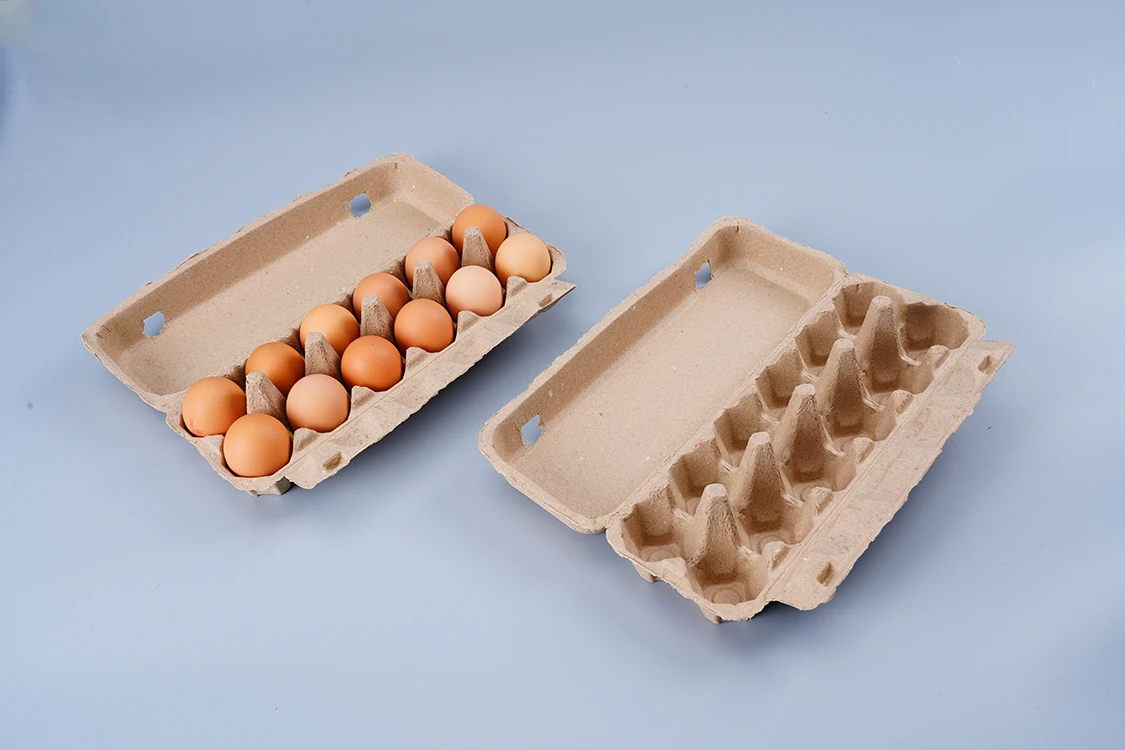 High Quality 12 Cells Egg Cartons Compostable Chicken Cardboard Holder