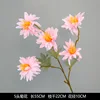 5 chrysanthemums