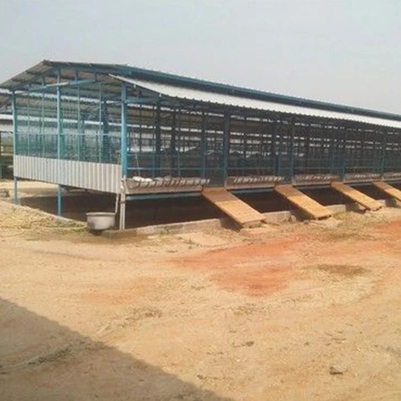 High Quality Prefabricated Steel Structure Goat Farm Sheds Design with Equipments