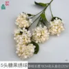 Hortensia Candy de 5 cabezas HN Champagne sin hojas