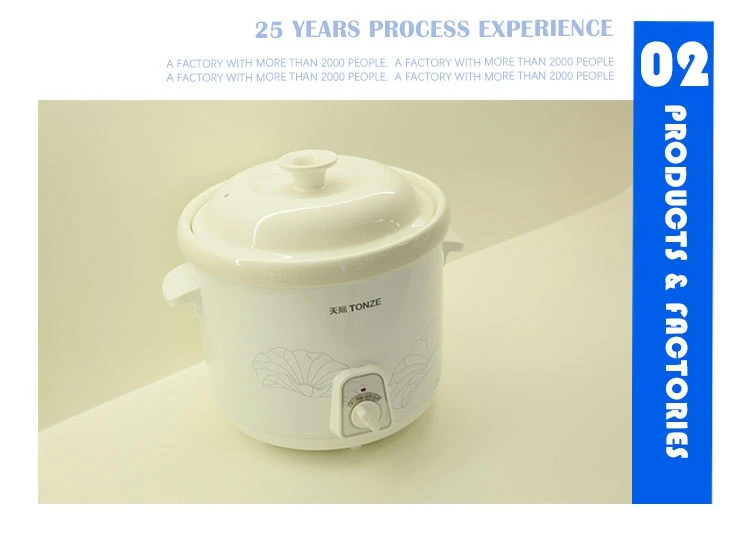 tonze slow cooker