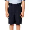 Navy Stripe