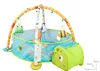 tortuga