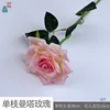 Single Manta Rose WY Pink