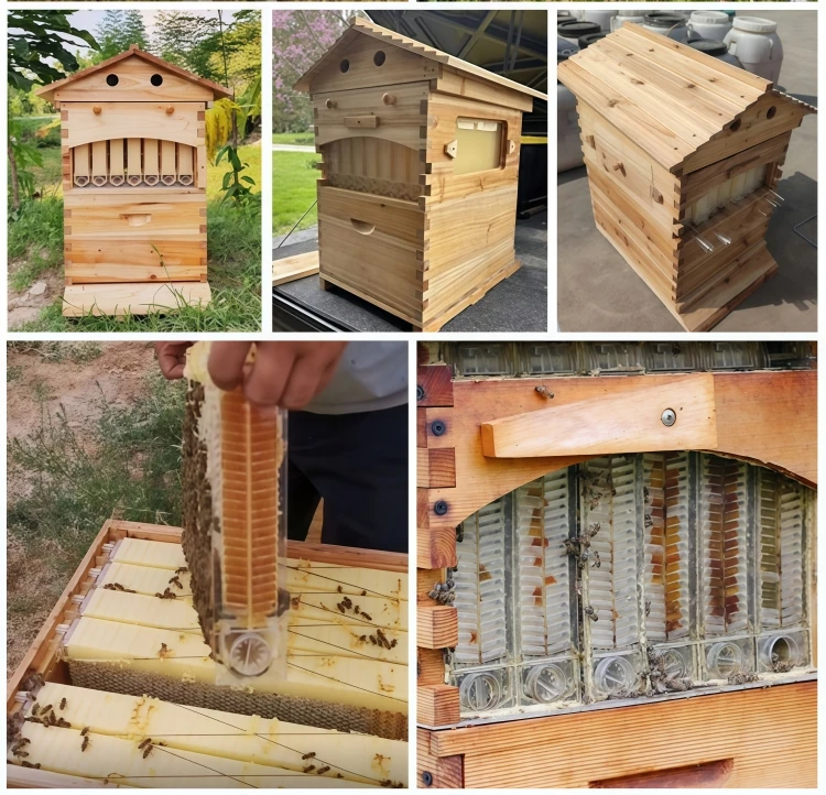 New Wooden Automatic Flow Hive - Easy Beekeeping
