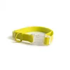 Yellow Collar
