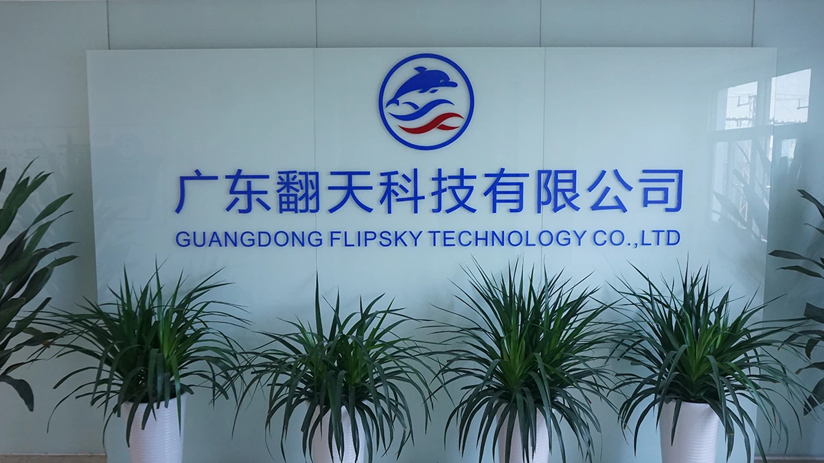 GuangDong Flipsky Technology Company Limited