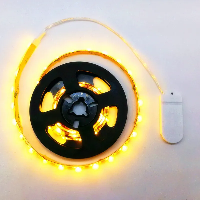 CR2032 Battery Box Ws2812b Ws2812 Sk6812 Ws2813 RGB IC Led Strip Wholesale 5v RGB Addressable  Led Strip Smart Strip Lights